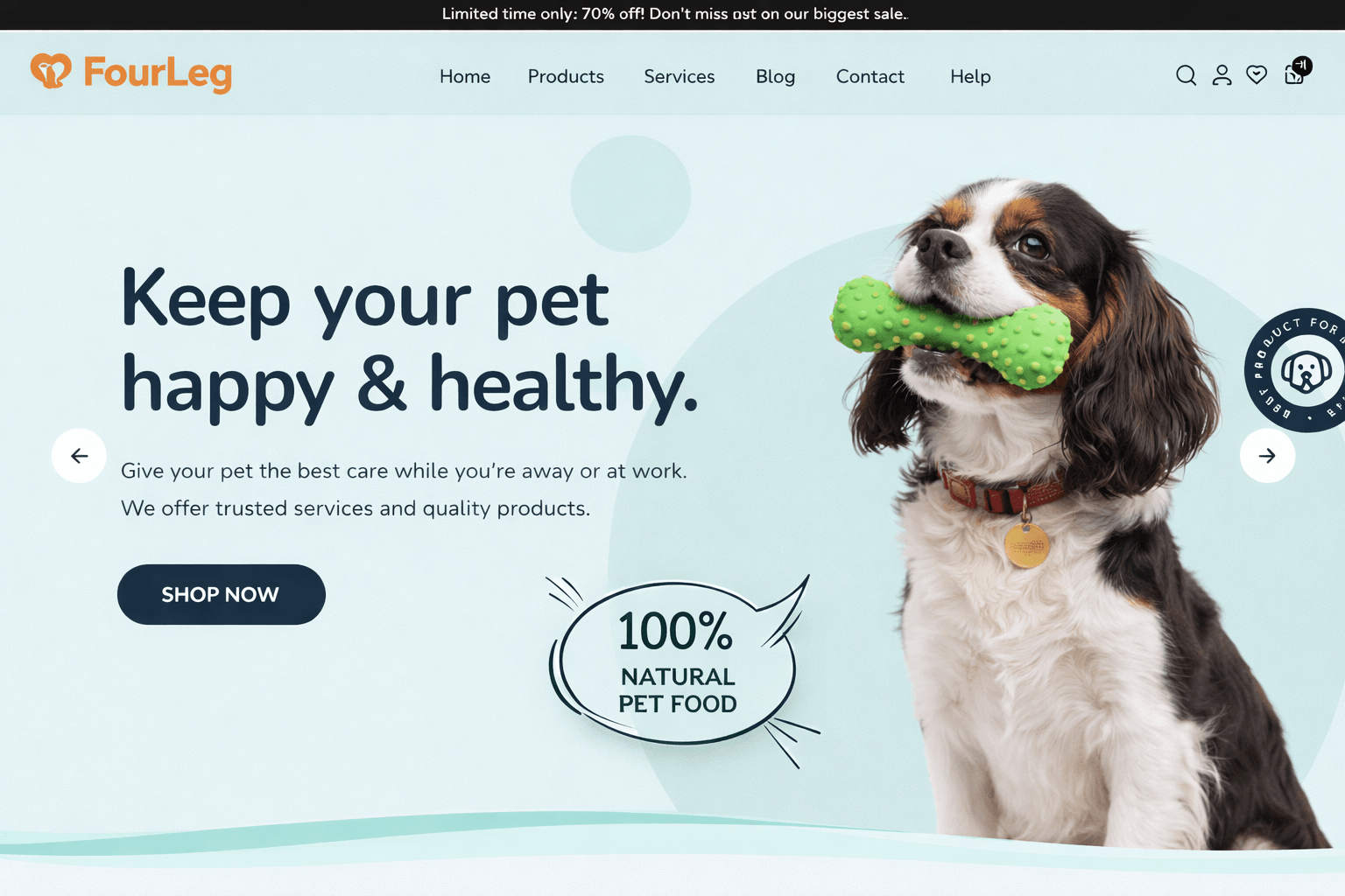Create Your First Webpage with HTML